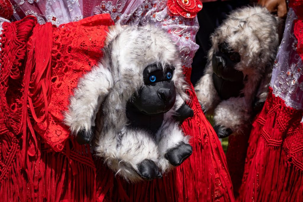 Close-up of traditional Peruvian dance costumes with vibrant red lace and furry dolls, highlighting cultural heritage.